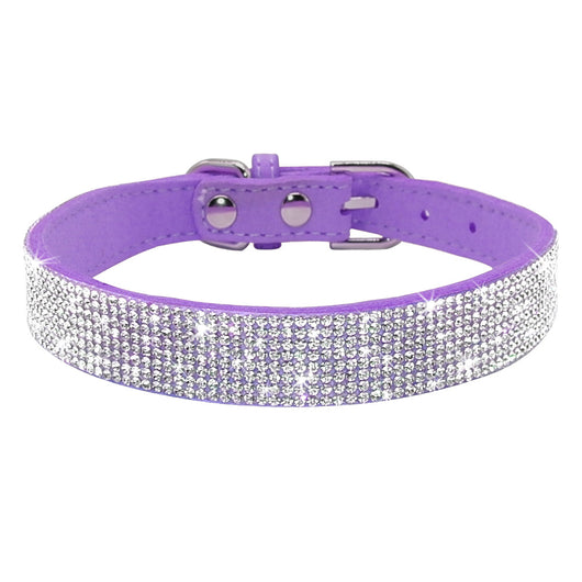 Collar para Perro Estilo Hot Dog - Image 9