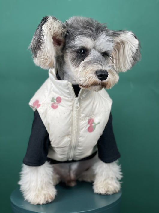 Chaleco Térmico para Perros - Abrigo Cereza Otoño e Invierno - Image 8