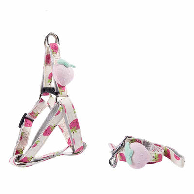 Collar y Correa para Perros con Estampado de Frutas - Colección Frutal - Image 5