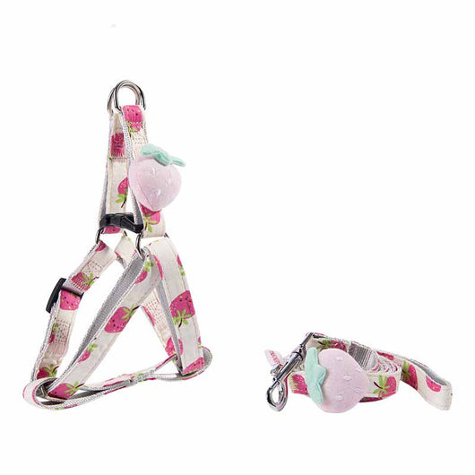 Collar y Correa para Perros con Estampado de Frutas - Colección Frutal - Image 5