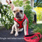 Rojo Letter Traction S