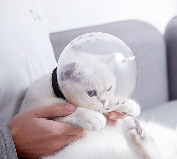 Arnés Protector Respirante para Gatos - Edición Final