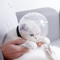 Arnés Protector Respirante para Gatos - Edición Final