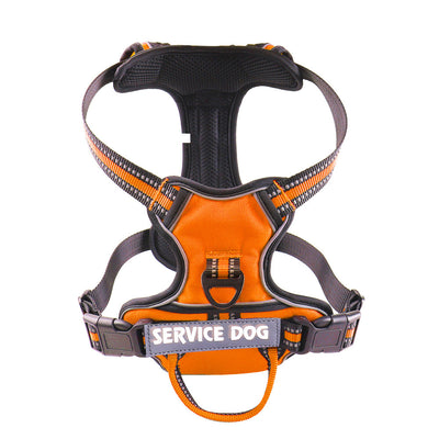 Arnés Personalizado para Perro en Tela Oxford - Image 3