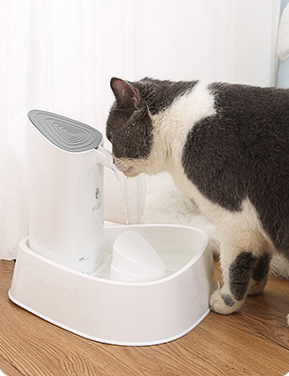 Dispensador Automático de Agua para Perros y Gatos - Image 6