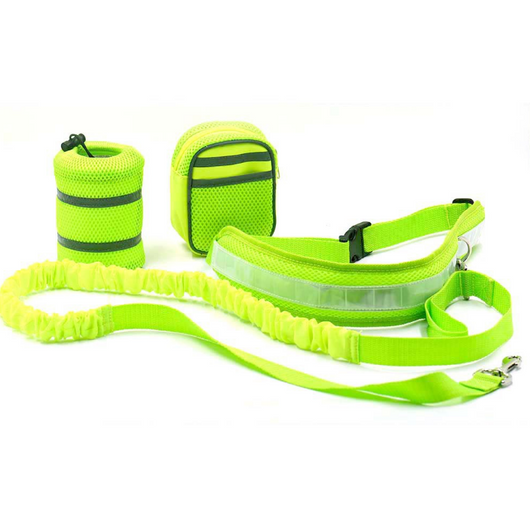 Correa Ajustable Manos Libres para Perros - Image 11