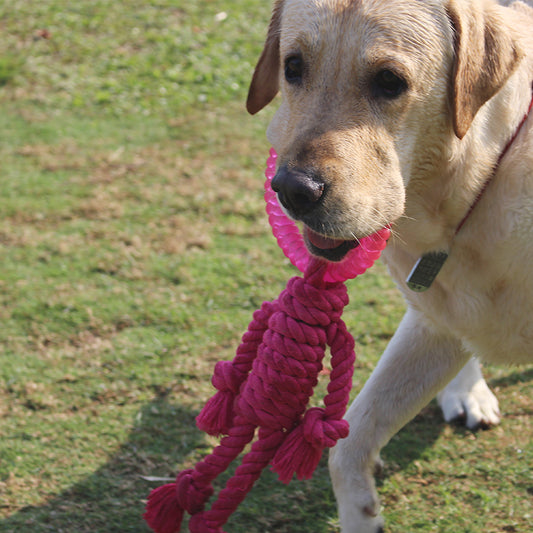 Juguete Interactivo de Nudos para Perros Grandes