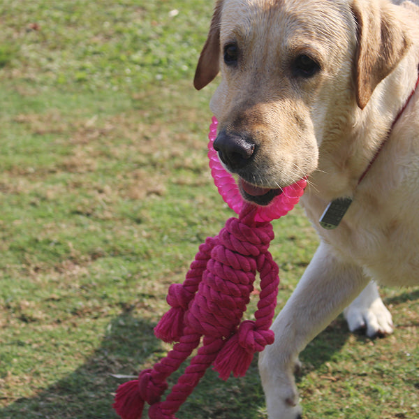 Juguete Interactivo de Nudos para Perros Grandes