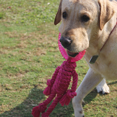 Juguete Interactivo de Nudos para Perros Grandes