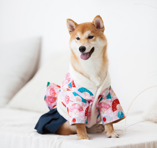Ropa de Abrigo para Perros