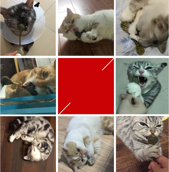 Juguete Interactivo de Hierba Gatera y Silvervine para Gatos