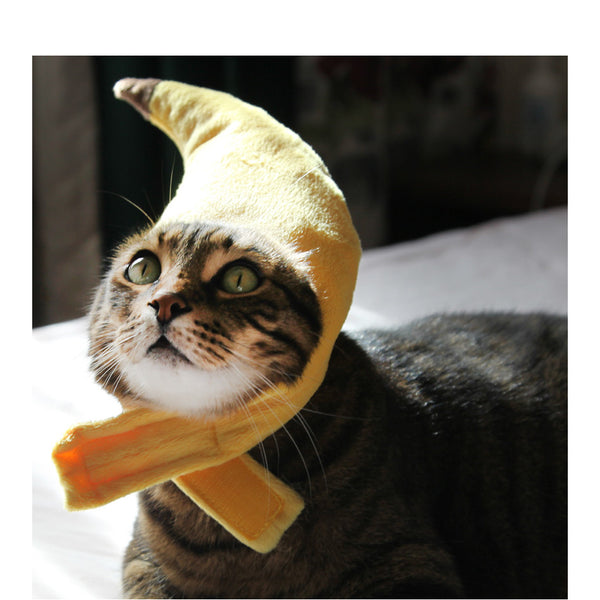Gorro Creativo de Plátano para Mascotas