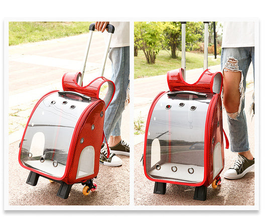 Mochila Transportadora Transparente Plegable para Perros Pequeños con Bolsillo Pañales - Image 11