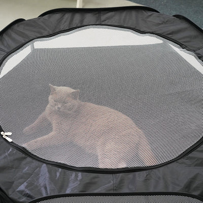 Túnel Gato Plegable Cómodo - Juguete Desmontable Multifunción sin Ocupar Espacio - Image 5