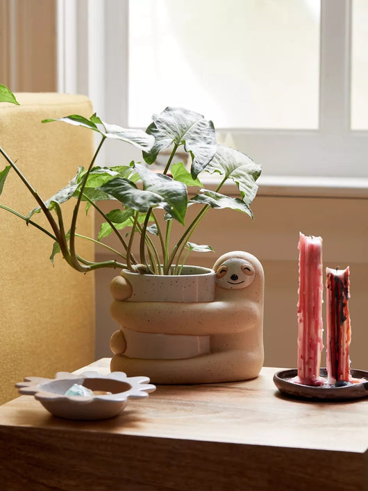 Maceta de Plantas Verdes Decorativa - Diseño Creativo y Ecológico - Image 10