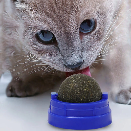 Two catnip licking balls, one in a blue plastic base and one in a green plastic base, on a white background. - Image 3