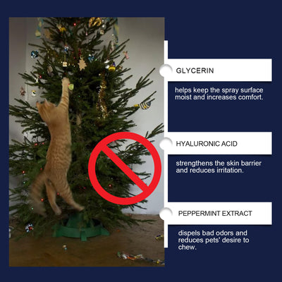 Spray Disuasivo Anti-Mordidas para Perros y Gatos - Protector de Muebles - Image 12