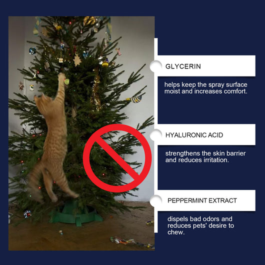 Spray Disuasivo Anti-Mordidas para Perros y Gatos - Protector de Muebles - Image 12