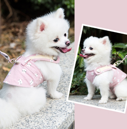 Conjunto de Arnés y Correa Adorable para Perro - Image 7
