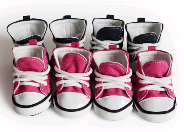 Zapatos Deportivos de Lona para Perros - Impermeables y Antideslizantes