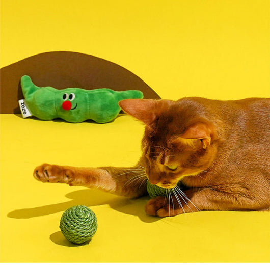 Juguetes Interactivos para Gatos - Pelotas de Sisal y Bastón Teaser - Image 6