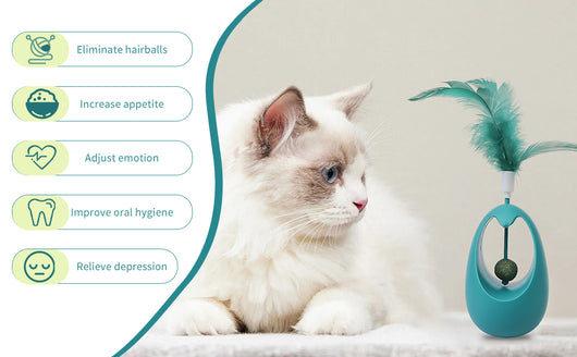 Juguete Interactivo para Gatos con Hierba Gatera y Pelotas Comestibles - Image 16