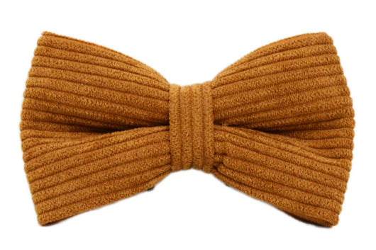 Collar para Mascota en Pana Caramelo - Image 11
