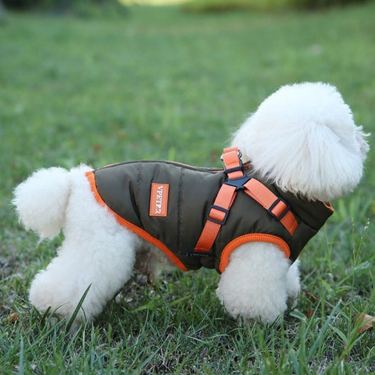 Abrigo Térmico para Perros Pequeños y Medianos - Chaleco Acolchado de Invierno