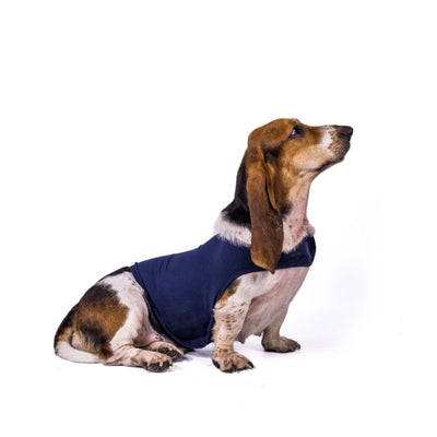 Ropa de Confort para Ansiedad en Perros - Image 10