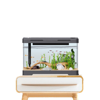 Acuario Acrílico Transparente Four Generation Lazy - Image 2