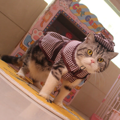 Disfraz de Detective para Mascotas - Capa, Sombrero y Traje Divertido para Gatos y Perros - Image 9