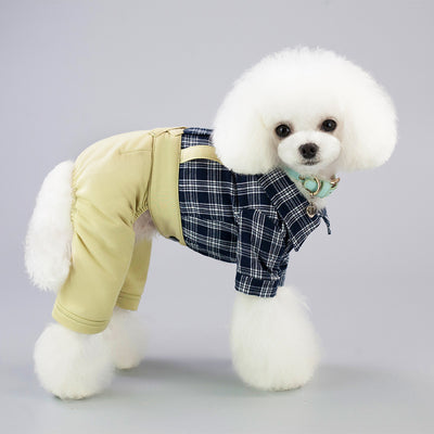Ropa de Primavera y Verano para Perros - Image 6