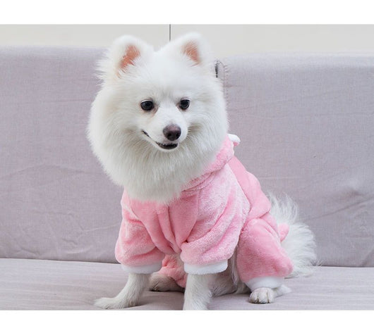 Disfraz Térmico de Coral Polar para Mascotas - Perros y Gatos Pequeños - Image 18