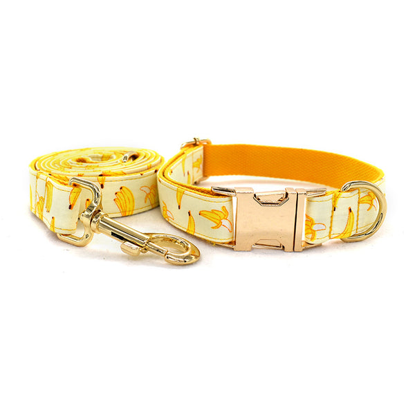 Collar de Tiro con Hebilla de Metal Dorado para Mascotas