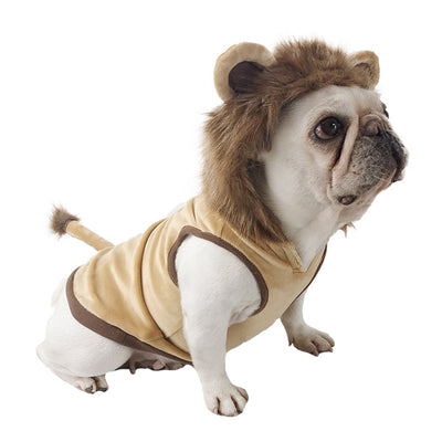 Disfraz de León para Mascotas - Ropa Halloween para Perros y Gatos - Image 3