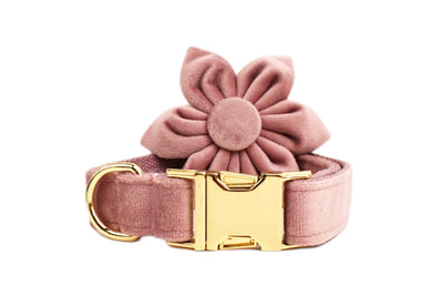 Collar para Perro Morado Claro con Cuerda Ajustable - Image 33