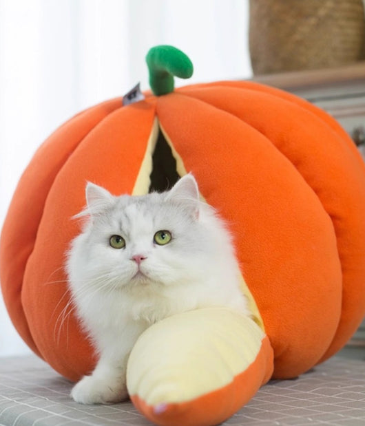 Cama Nido Cálida para Gatos - Casa Tipo Calabaza Cerrada con Bolsa de Dormir - Image 7
