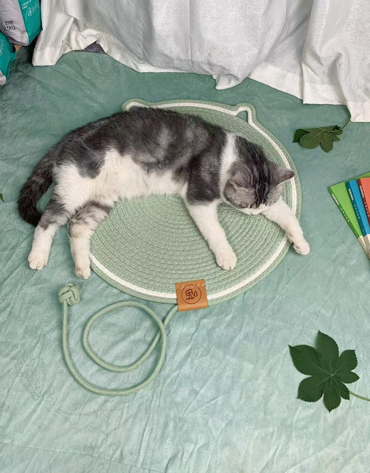 Nido de Ratán para Gatos Resistente sin Pelusa - Image 24
