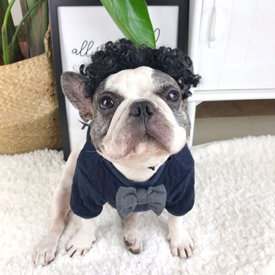 Suéter Trendy para Perros - Abrigo Elegante y Cómodo - Image 10