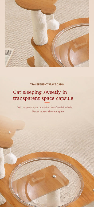 Multi-layer cat tree with a plush top bed, clear space capsule, wooden cat house, sisal scratching posts, and climbing stairs. - Image 14