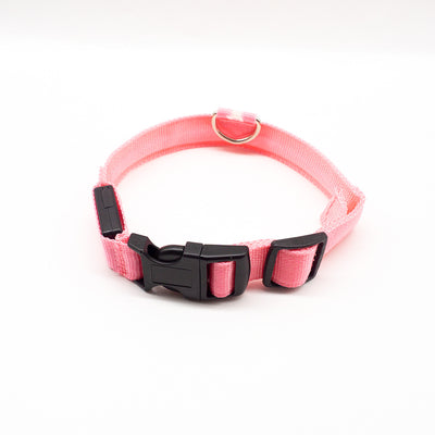 Collar LED Recargable para Mascotas - Image 15