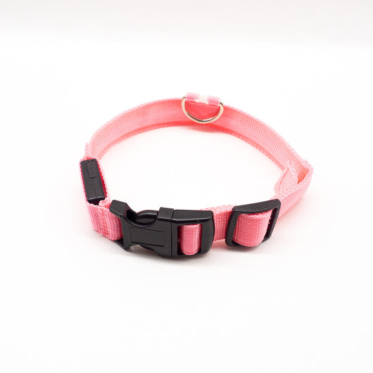 Collar LED Recargable para Mascotas - Image 15