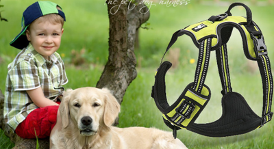 Chaleco de Protección para Perros Grandes - Image 22