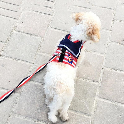 Arnés de pecho para perros con correa de paseo - Image 11