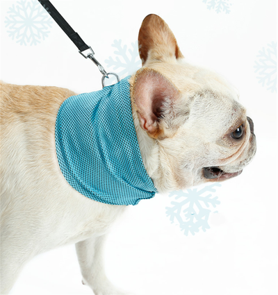 Pañuelo Refrescante para Perros - Bandana Enfriadora de Verano - Image 13