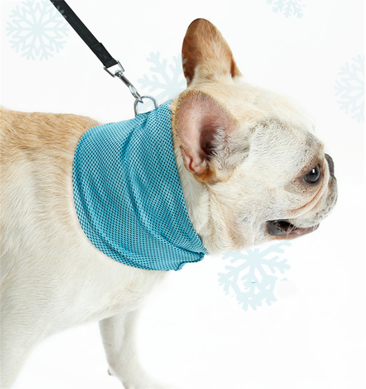 Pañuelo Refrescante para Perros - Bandana Enfriadora de Verano - Image 13