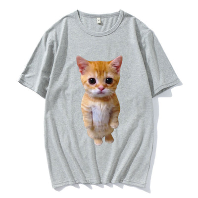 Gatito Triste Llorando - Peluche Munchkin Adorable - Image 10