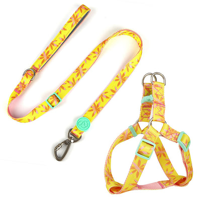Arnés Pechera Antiescapes para Perros con Correa de Tracción Segura - Image 42