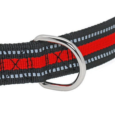 Collar Reflectante Personalizado para Perro con Nombre Grabado - Image 10