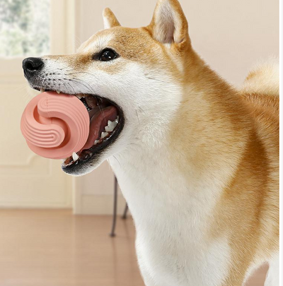 Pink rubber dog molar teeth relief bouncy ball being rinsed with water, showing its textured surface. - Image 6